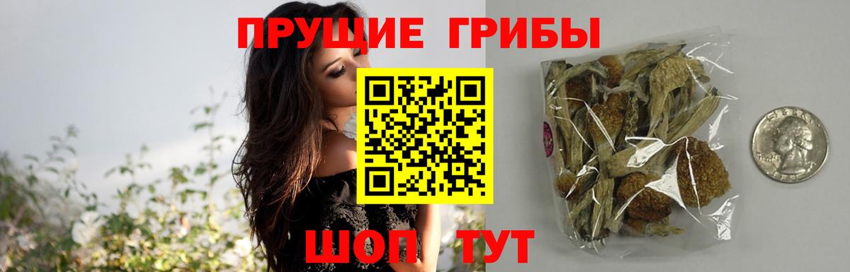 Галлюциногенные грибы ЛСД Чебоксары